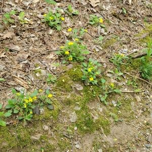 Black jeans for @kakr